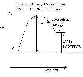 endo pe curve